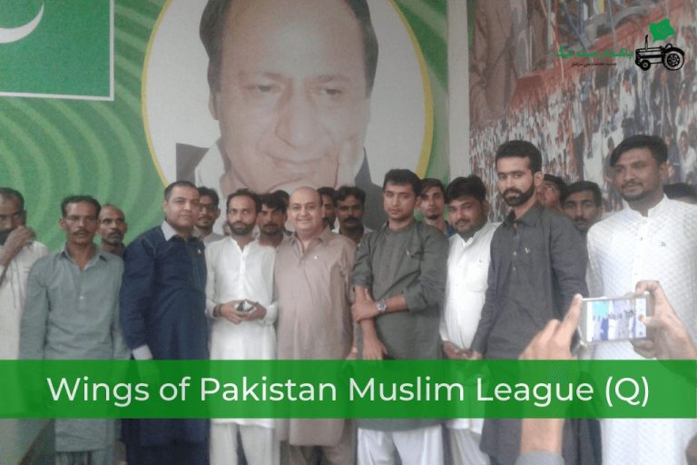 Wings of PML (Q)